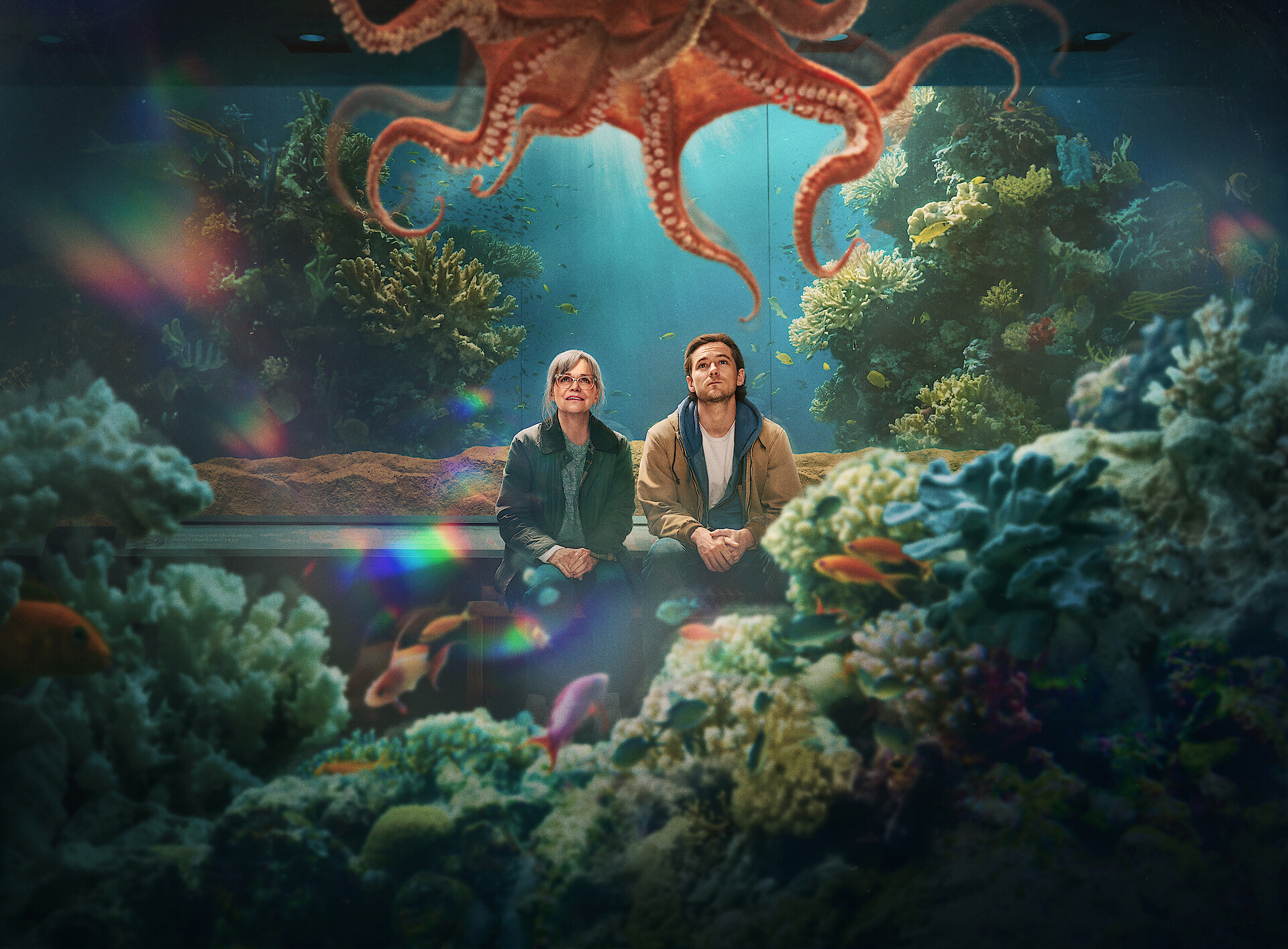 Remarkably Bright Creatures