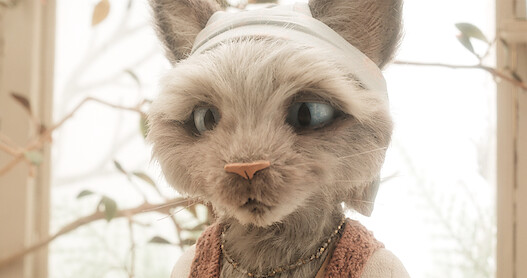 Rosa Vents To Jen | The House