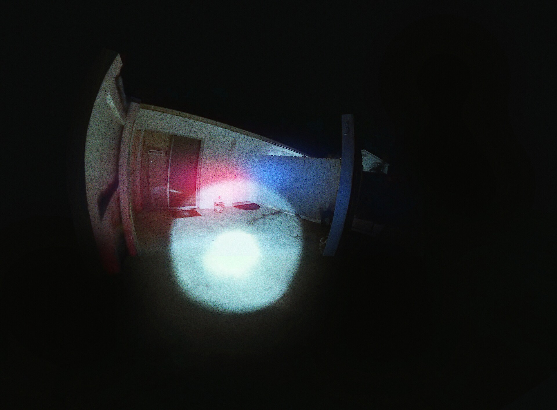 The Perfect Neighbor key art