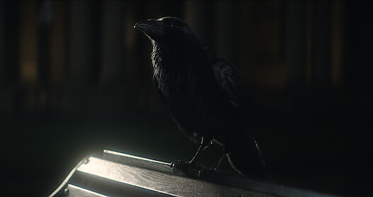 Dream Meets Matthew the Raven | 'The Sandman' S1E3