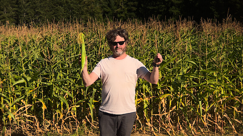 Zach Galifianakis stands in front of a corn field holding an ear of corn in one hand and a piece of wheat in the other.