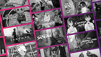 7 Movies and TV Shows Purrfect for Cat Lovers.