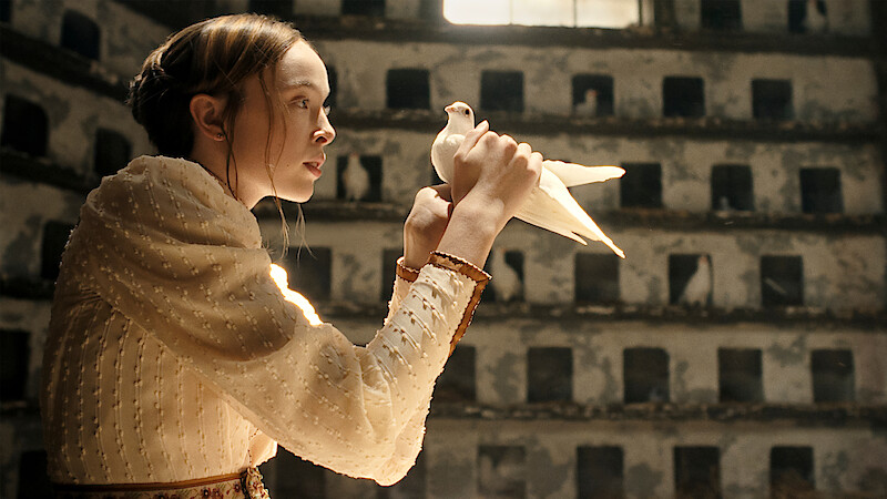 Young woman in a vintage dress gently holding a white dove inside a sunlit aviary with birdhouses on the walls in the background.