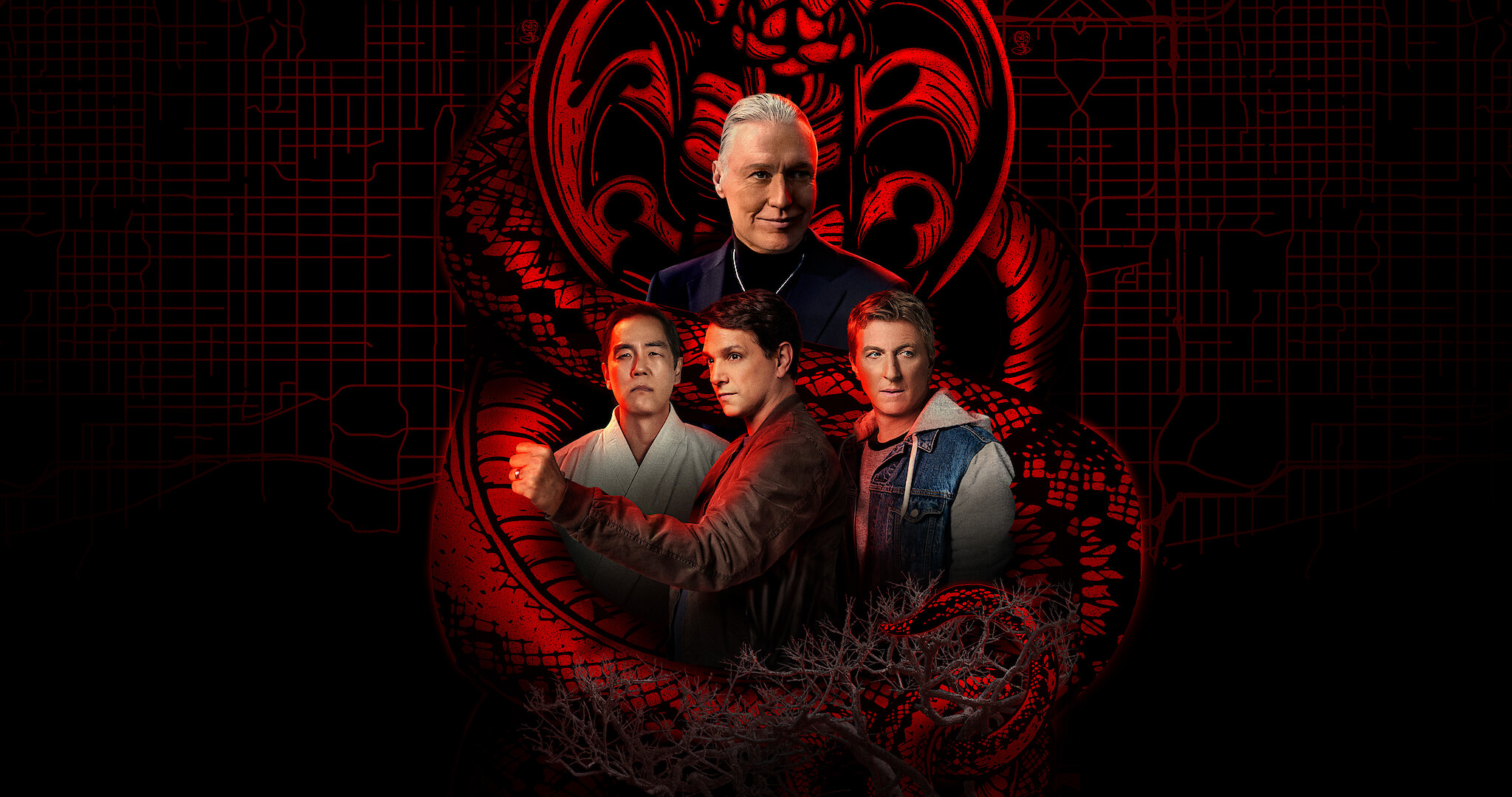 Watch Cobra Kai  Netflix Official Site