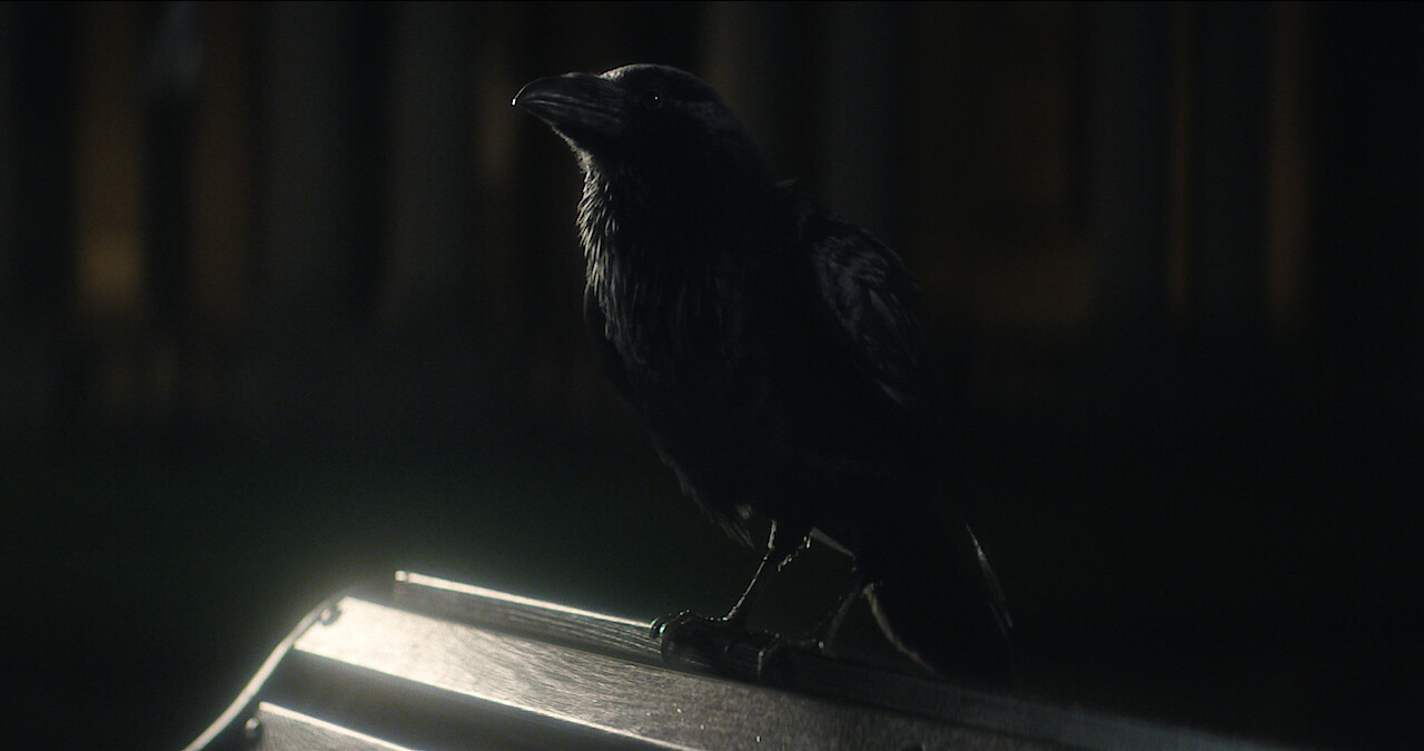 Dream Meets Matthew the Raven | 'The Sandman' S1E3