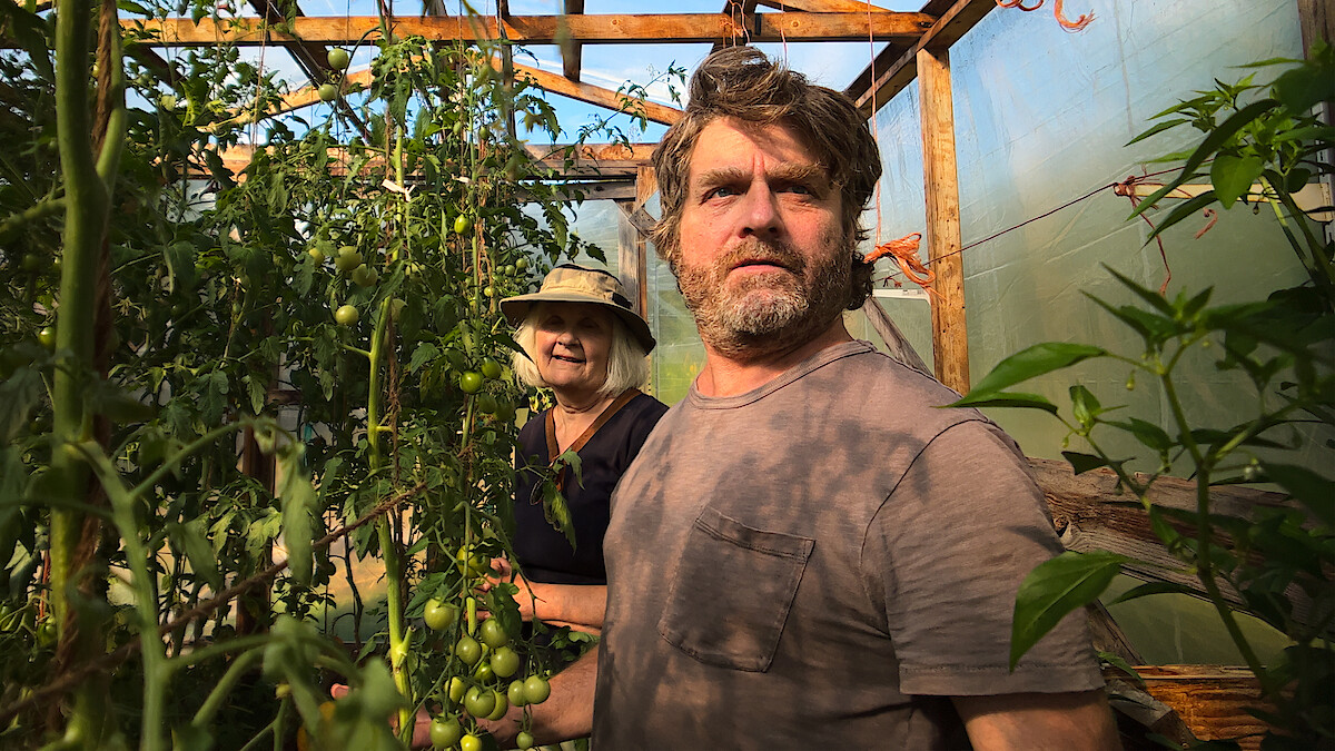Zach Galifianakis in 'This Is a Gardening Show.'