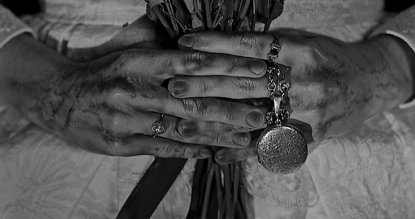 Enter ‘Guillermo Del Toro’s Cabinet of Curiosities’ with a New Teaser