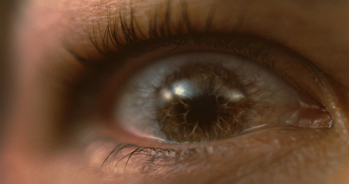 Sandra Bullock's Eyes Are Her Own Worst Enemy in the Horrifying 'Bird Box'  Trailer
