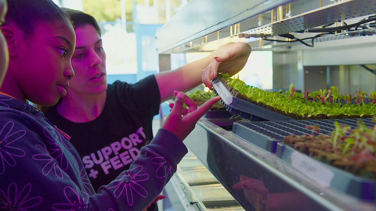 Two people examining plants.