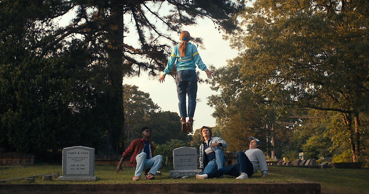 Stranger (TV series) intelligence overview