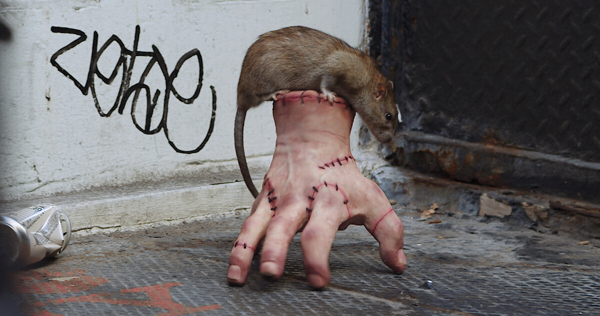 Catch Thing from 'Wednesday' Casually Strutting Around New York City