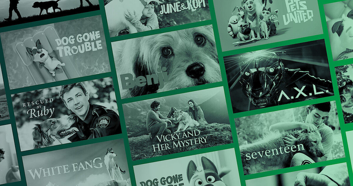 9 Best Dog Movies on Netflix - Netflix Tudum 9 Best Dog Movies on Netflix - Netflix Tudum