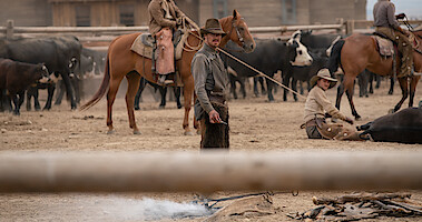 How Is Benedict Cumberbatch's Bull Castration Technique? 