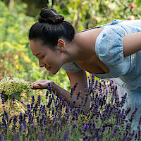 Woman in a blue dress bending down to smell flowers in a lush garden filled with lavender and greenery on a sunny day.