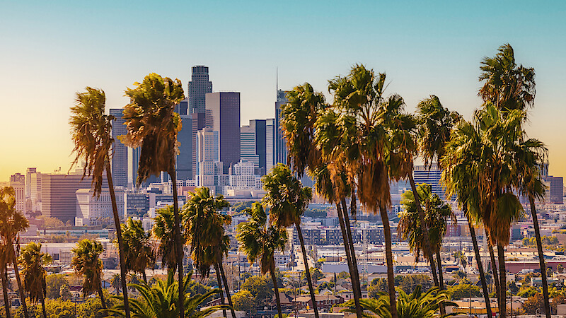 A scenic photograph of LA's city skyline and palm trees.