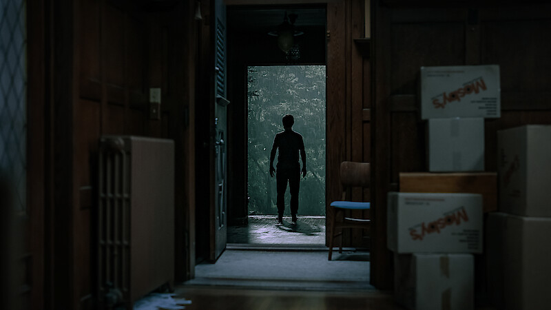 Silhouette of a person standing in a doorway, seen from inside a dimly lit room with moving boxes and wooden paneling, looking out toward a green, misty environment.