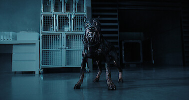 Not All Dogs Are Friendly in a New ‘Resident Evil’ Clip