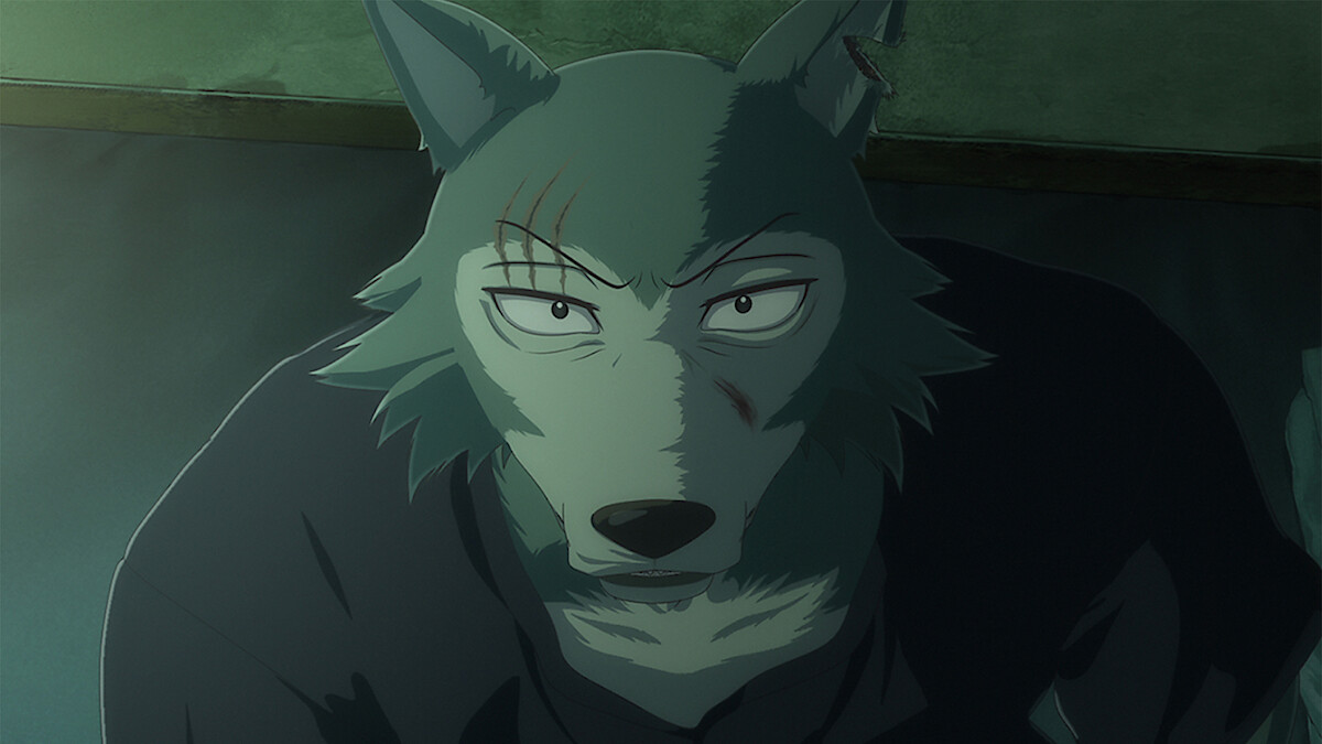 BEASTARS ファイナルシーズン Part 2 アニメ発売日、予告編、ニュース