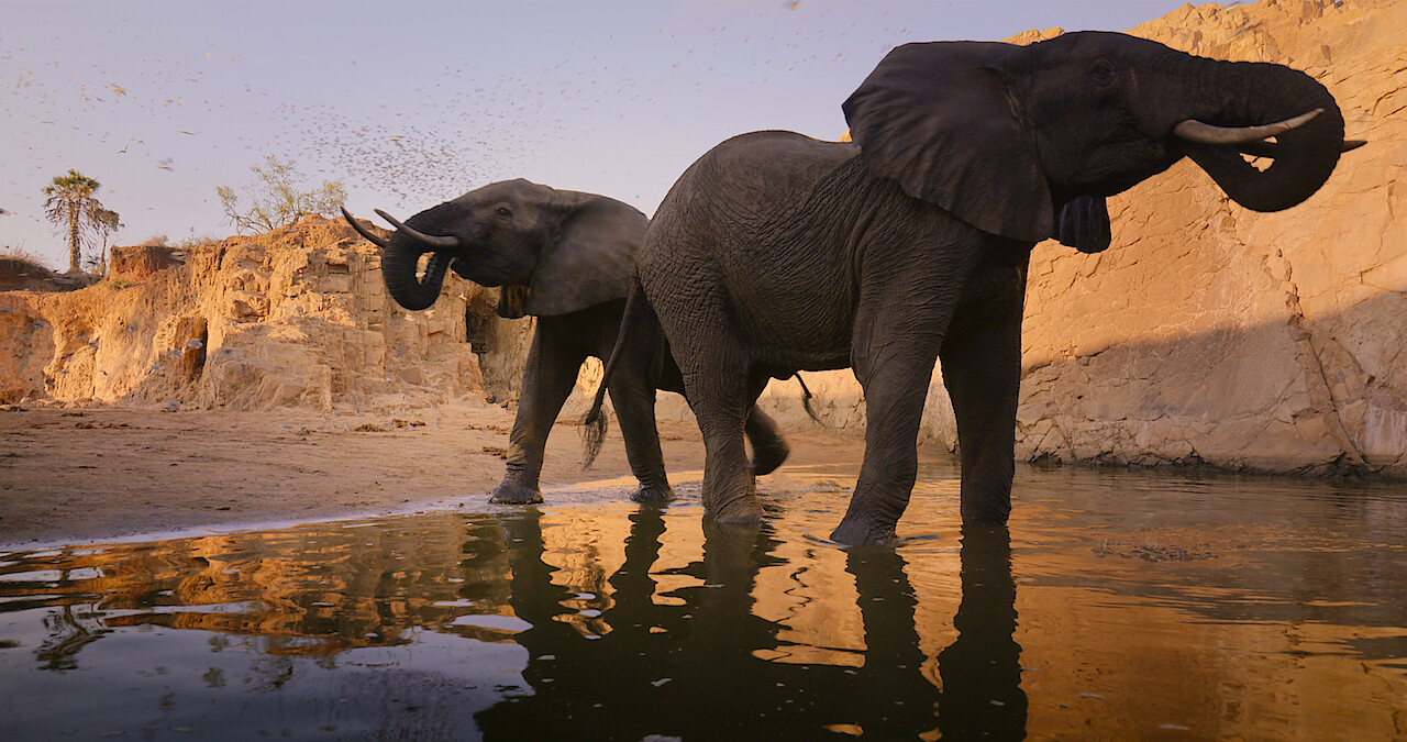 Our Great National Parks' Has Some Lush and Majestic Locations - Netflix  Tudum