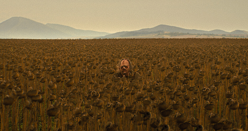 The Texas Chainsaw murderer stands hidden, barely perceptible in a field of corn