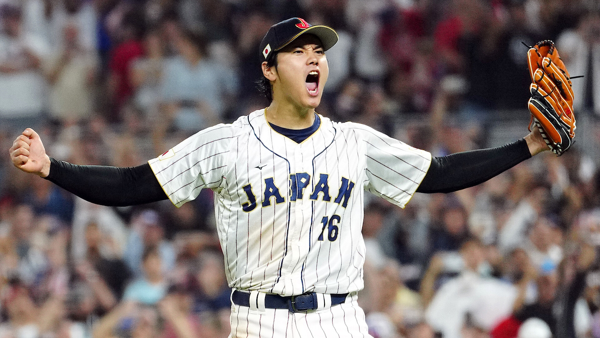 Where Do I Watch the World Baseball Classic? - Netflix Tudum