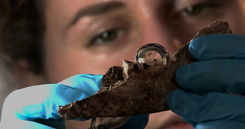 A ring stuck in a rock from 'Cave of Bones' 