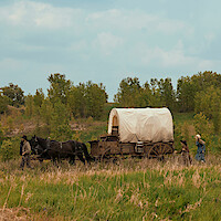 Pioneers with a covered wagon pulled by two horses travel through grassy fields surrounded by trees under a cloudy sky, evoking a historic Western migration scene.