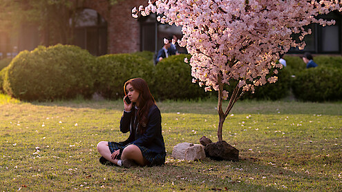 Anna Cathcart as Kitty Song Covey sits under a tree with pink blossoms in Season 2 of 'XO, Kitty' 