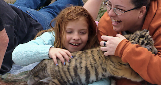 The Truth About Those Baby Tiger Photos