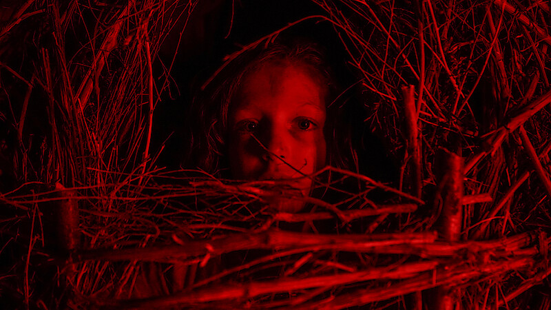 A child’s face illuminated by red light, looking through a dense, circular arrangement of woven sticks in a dark, mysterious setting.