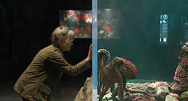 Sally Field as Tova in a green jacket looks through glass at an octopus in a large aquarium, surrounded by rocks and sea life, with dim lighting and a marine exhibit in the background.