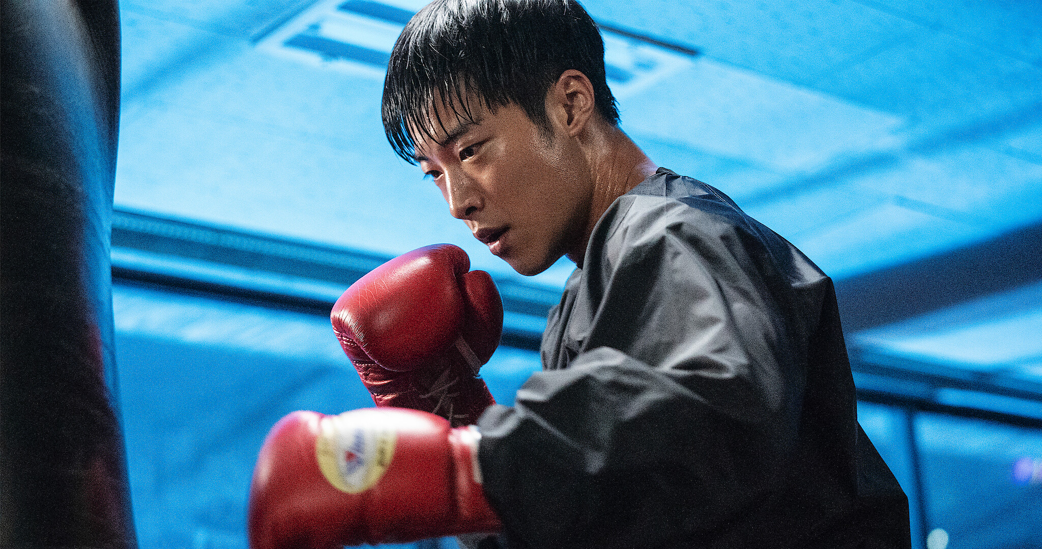Bloodhounds, What You Need to Know About the Korean Action Thriller K-Drama Series photo