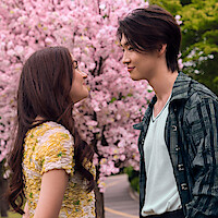 Two young people stand face to face, smiling at each other under a blooming pink cherry blossom tree in a park setting with green foliage in the background.