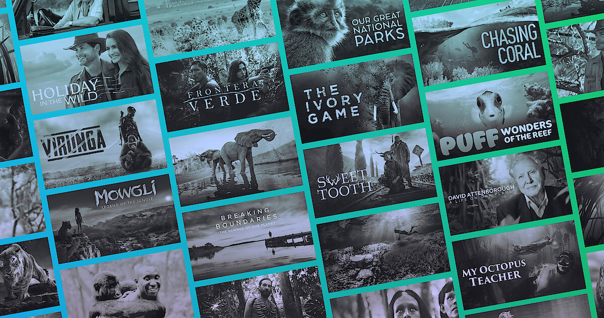 The Best Nature Documentaries to Watch on Netflix 2023 - Netflix Tudum The Best Nature Documentaries to Watch on Netflix 2023 - Netflix Tudum