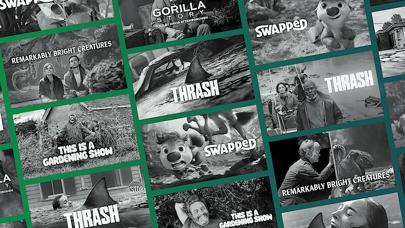 A graphic of Netflix shows about nature and animals