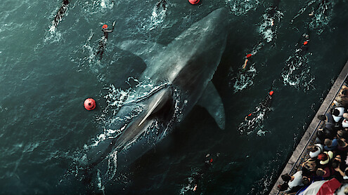 People swim around a giant shark in the Seine in 'Under Paris.'