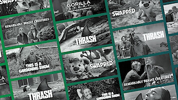 A graphic of Netflix shows about nature and animals