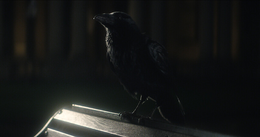 Dream Meets Matthew the Raven | 'The Sandman' S1E3