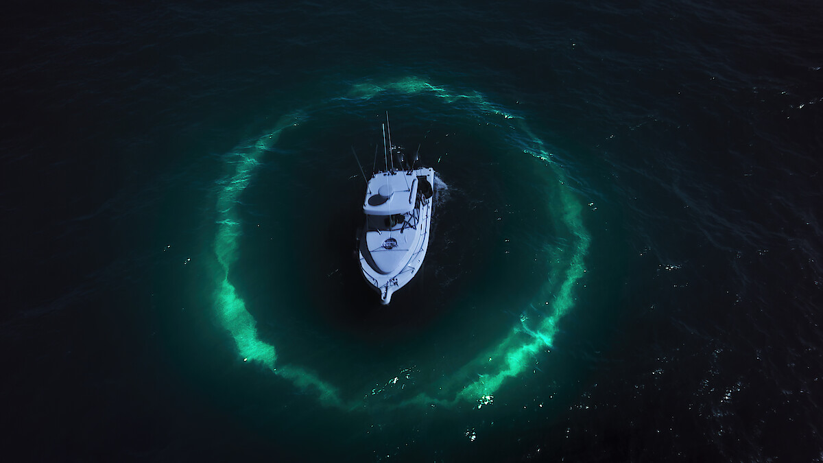 Mysterious deep-sea creatures