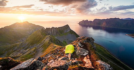 ‘Surviving Paradise’ Competition Reality Show Coming to Netflix