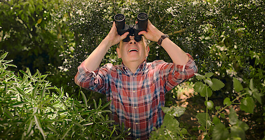 6 Silliest Physical Comedy Scenes In 'Man vs Bee'