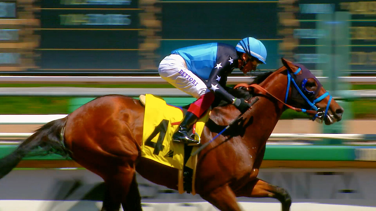 A jockey on a horse during a race.
