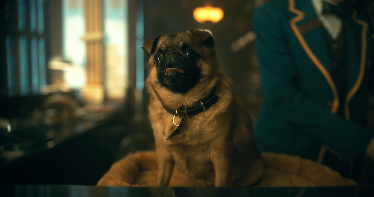 The Brellies Check Into Hotel Obsidian | ‘The Umbrella Academy’ S3E1 