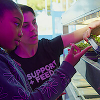 Two people examining plants.