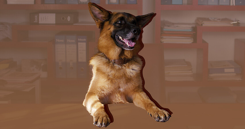 The Most Shocking Moments from ‘Gunther’s Millions' 