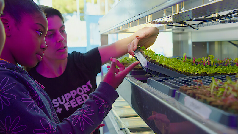 Two people examining plants.