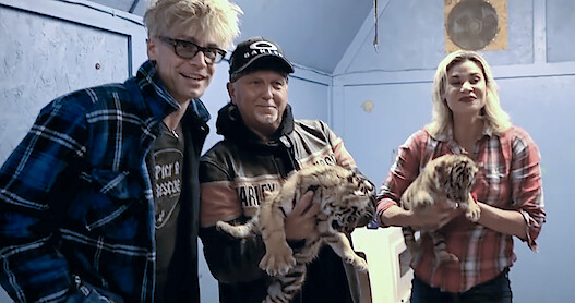 Card image: The Truth About Those Baby Tiger Photos