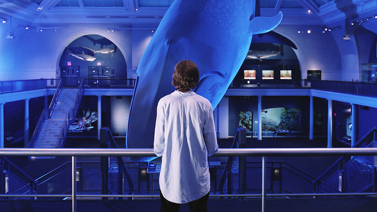 Jesse Eisenberg as Walt Berkman in 'The Squid and the Whale'.