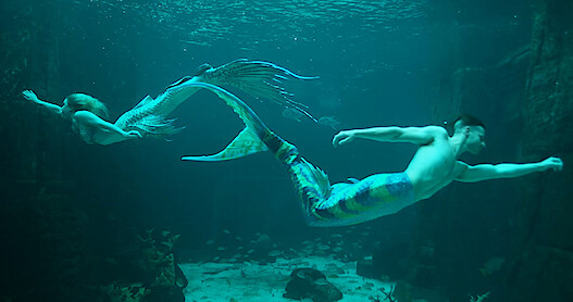 Two mermaids swim in opposite directions in MerPeople.