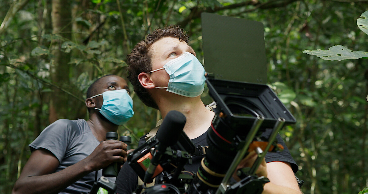 How Was Chimp Empire Made Filmmakers Explain What It Was Like To How Was Chimp Empire Made Filmmakers Explain What It Was Like To